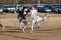 2-9-15 SA vs PA 167